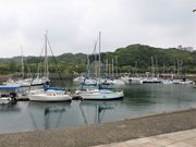 Ƃ񂳂̃bgZ[O̓eʐ^1