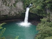 ���X����̂��̂��̑�̓��e�ʐ^3