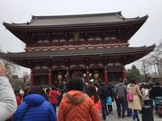 ƂƂƂ炨̍א_Ђ̓eʐ^1