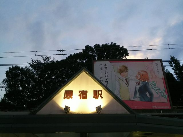 ���h�w_�i�q���h�w