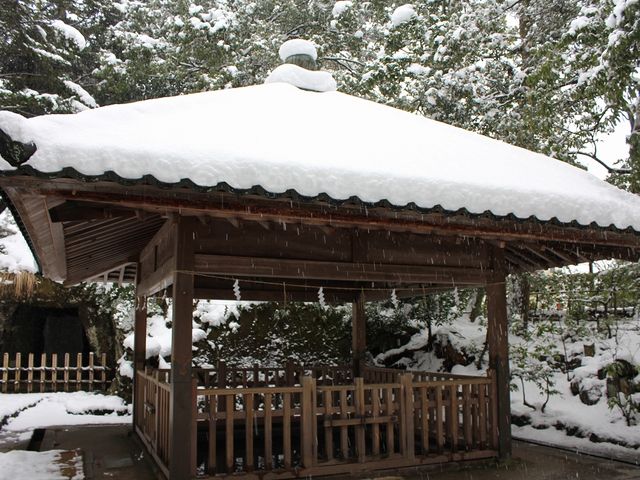 �����ŕ���ꂽ������V�B_������V