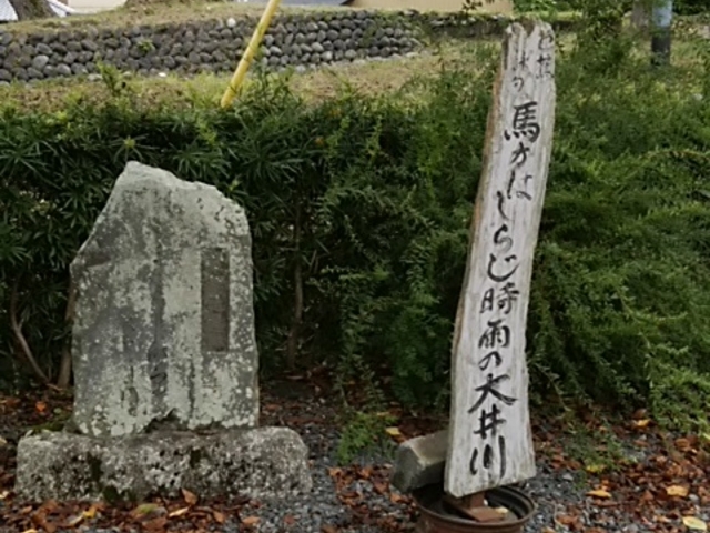 K2����̔m�Ԃ̋��̓��e�ʐ^1