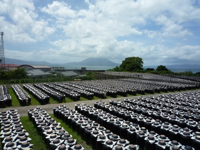 �������o�b�N�ɍ��|�̚₪����ł��܂�_�⌳�������낷���� �┨