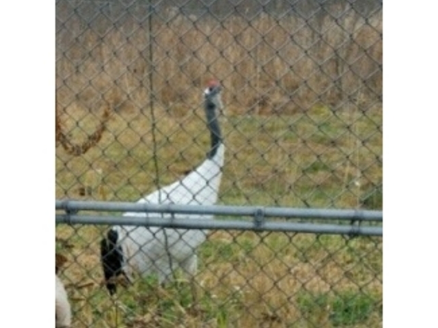 ��_�O���ߎ��R����