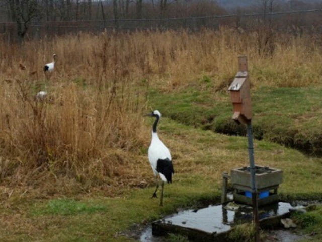 ��_�O���ߎ��R����