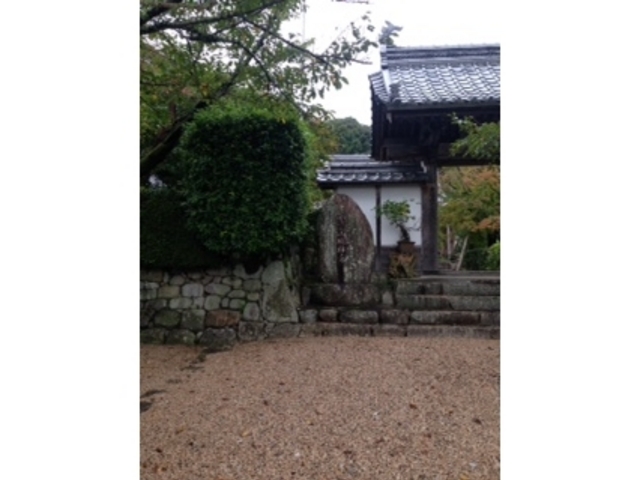 ��_���ю�