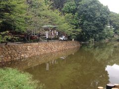 ܂Ƃ̌䔯_Ђւ̓eʐ^1