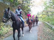 hc-tabitõz[XNucl̓eʐ^3