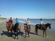 hc-tabitõz[XNucl̓eʐ^4