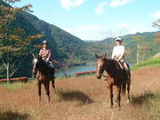 hc-tabitõz[XNucl̓eʐ^5