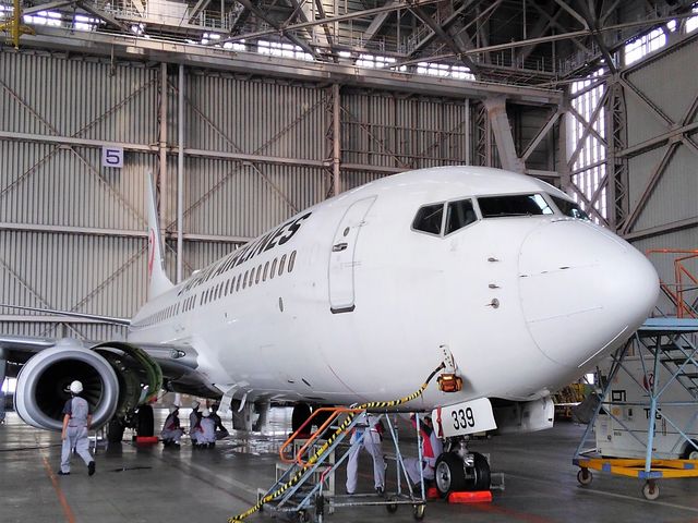 �i�[�Ɍ��w_JAL �H�ꌩ�w Sky Museum