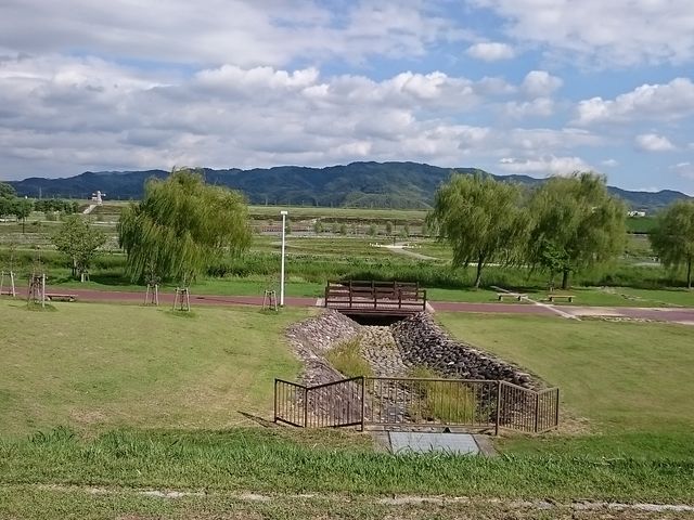 �Y��Ȍi�F_���c�}��L�����