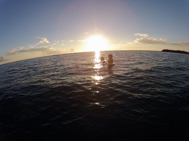 ����������ԗ[���ō��I_aloha surf okinawa