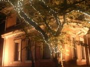 Ƃ񂳂̋pԊفi˓caLOفj̓eʐ^4