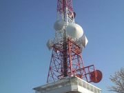 Ƃ񂳂̏Ó약W]isuj̓eʐ^2