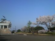 Ƃ񂳂̏Ó약̍̓eʐ^2