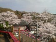 ���Ƃ��񂳂�̒��J���i�юR�ω��j�̓��e�ʐ^3