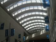 Ƃ񂳂̃NB[YXNGAl̓eʐ^3