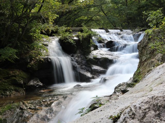 �Ƃ�����񂳂����h�̈���i���������j�E�[��̓��e�ʐ^5