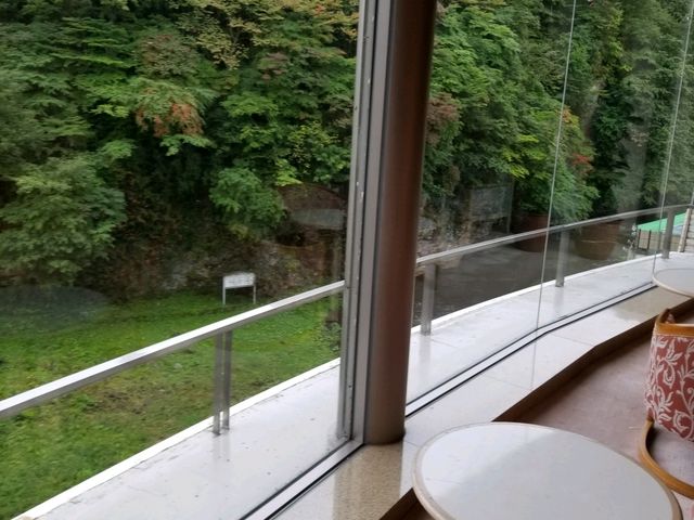 �z�e�����猩��i�F_�u�˕�����