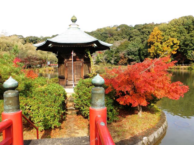 �Z�p���ƍg�t_���������