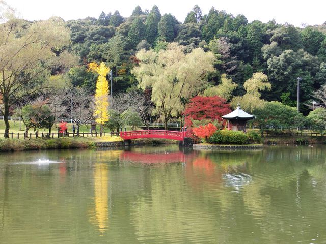 �C�`���E��g�t���r�ɉf���Ă��܂�_���������