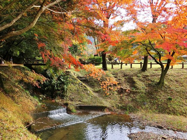 ����̗���ɍg�t���f���܂�_���������