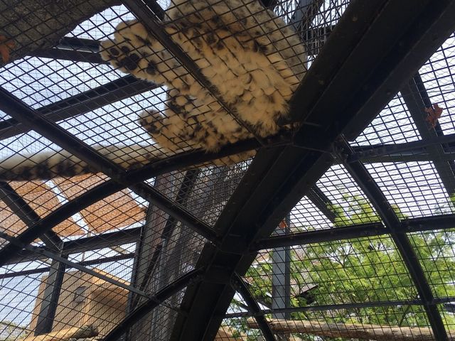 �����猩�邱�Ƃ��ł���_���R������