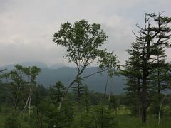 YanwenlȉcKւ̓eʐ^2