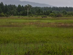 YanwenlȉcKւ̓eʐ^6