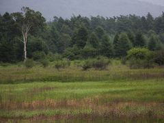 YanwenlȉcKւ̓eʐ^7