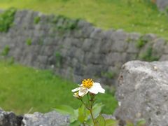 DreamlineȑAՁE܂p[Nւ̓eʐ^1