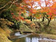 �^�b�N����̒���������̓��e�ʐ^4