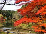 �^�b�N����̒���������̓��e�ʐ^5