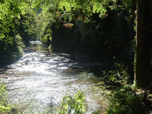 �΂Ɛ��ʂƑ��z�̓��˂�_�{�V�k�J