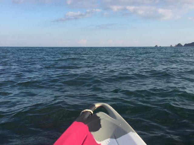 ��C���I_���΂�G�R�t�B�[���h�@����