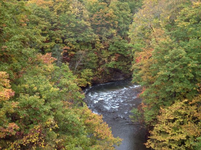 �g�t�x90%_��R�k