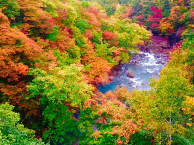 森の大橋_松川渓谷(岩手県八幡平市)