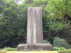 �Ё[����񂳂�̐����J�����ւ̓��e�ʐ^1