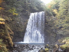 񂳂̑PܘY̑ւ̓eʐ^1