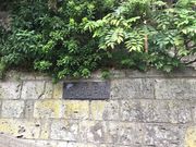 �q���V����̐[�����̓��e�ʐ^1