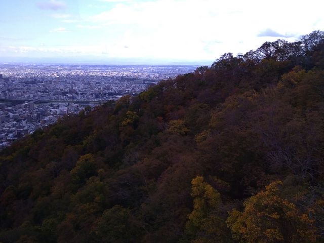 �Ύ�p���E���Ɍ����܂�_������R���[�v�E�F�C