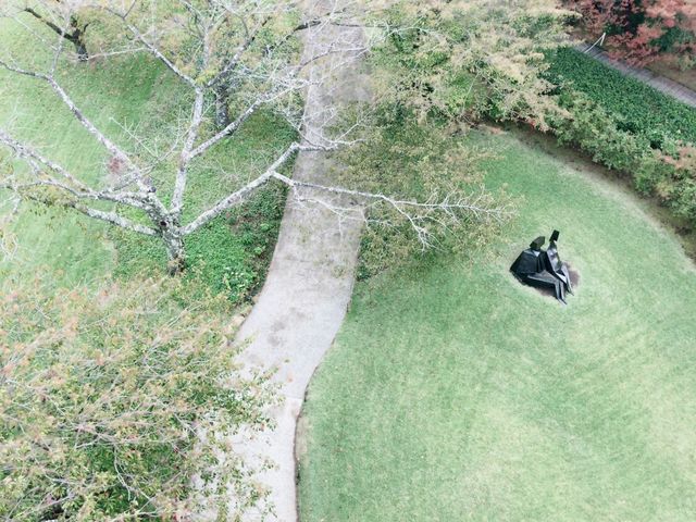 yko_�����̐X���p��