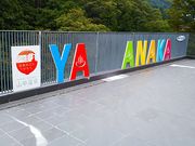 ˂񂳂̎R@䂰X̓eʐ^4