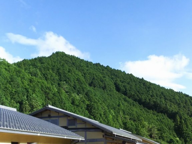 た コレクション かすみ 温泉 シャンプー