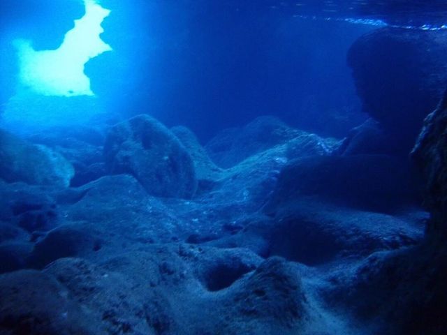 ���X����B�e_�ɗǕ����c�A�[�@�}�J�i