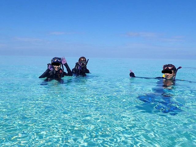 ���X����B�e_�ɗǕ����c�A�[�@�}�J�i