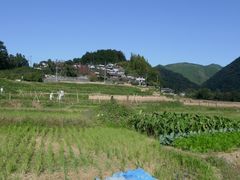 ܁`ځ`̉̎Icւ̓eʐ^1