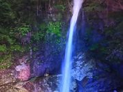 ܂Ȃ܂܂̓΂̑̓eʐ^1