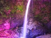 ܂Ȃ܂܂̓΂̑̓eʐ^2